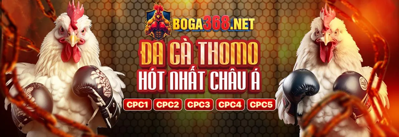 Hình ảnh đội ngũ hỗ trợ khách hàng chuyên nghiệp của 383sports
