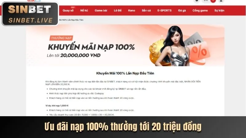 Chương trình VIP độc quyền 383sports